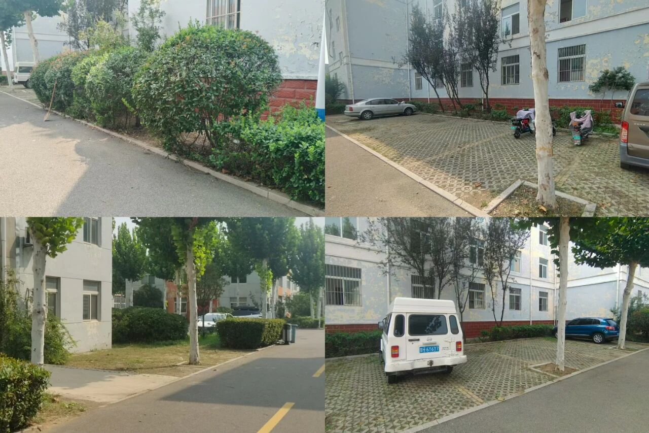 【鲁南电商】共建俏丽园区，，，，，我们在行动！1