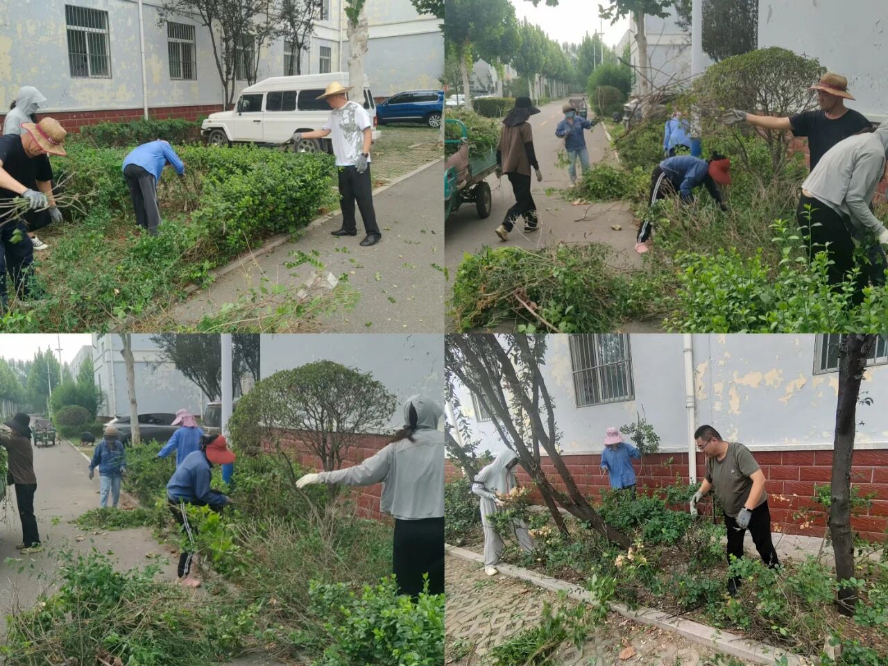 【鲁南电商】共建俏丽园区，，，，，我们在行动！